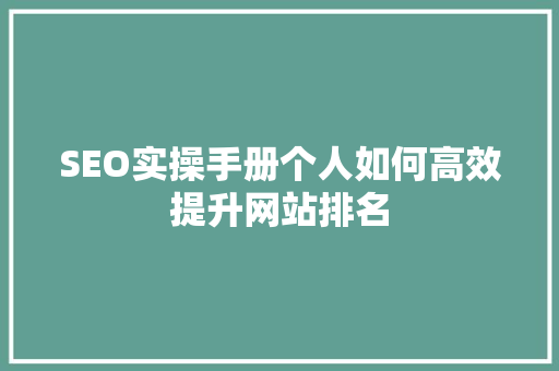 SEO实操手册个人如何高效提升网站排名