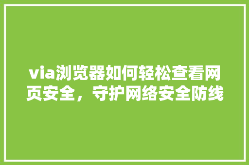 via浏览器如何轻松查看网页安全，守护网络安全防线