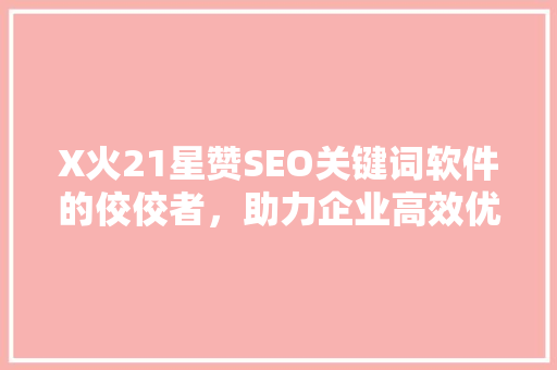 X火21星赞SEO关键词软件的佼佼者，助力企业高效优化