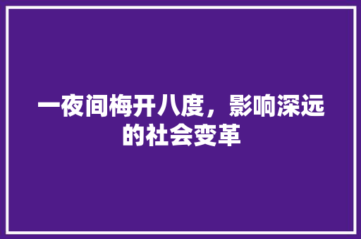 一夜间梅开八度，影响深远的社会变革