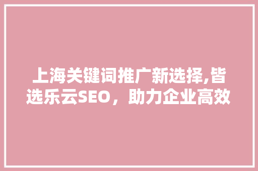 上海关键词推广新选择,皆选乐云SEO，助力企业高效招商