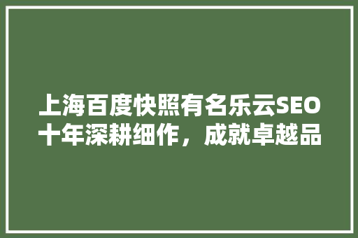 上海百度快照有名乐云SEO十年深耕细作，成就卓越品牌
