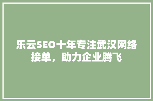 乐云SEO十年专注武汉网络接单，助力企业腾飞
