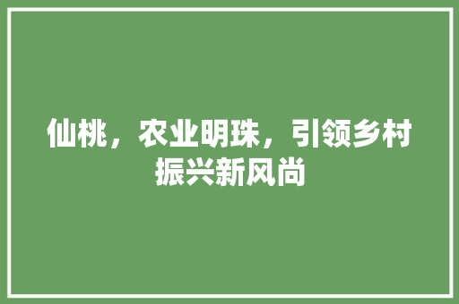 仙桃，农业明珠，引领乡村振兴新风尚