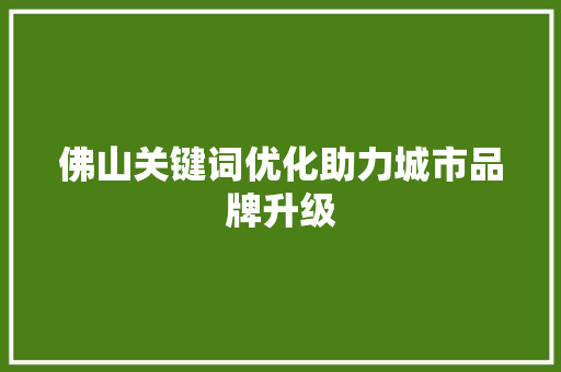 佛山关键词优化助力城市品牌升级