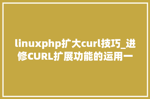 linuxphp扩大curl技巧_进修CURL扩展功能的运用一