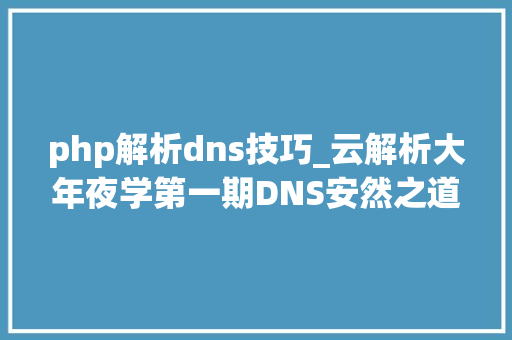 php解析dns技巧_云解析大年夜学第一期DNS安然之道