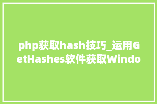 php获取hash技巧_运用GetHashes软件获取Windows系统Hash密码值