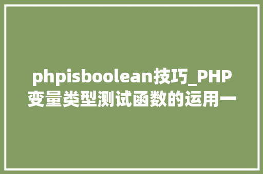 phpisboolean技巧_PHP变量类型测试函数的运用一is_bool的用法