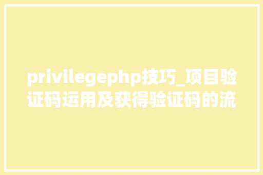 privilegephp技巧_项目验证码运用及获得验证码的流程