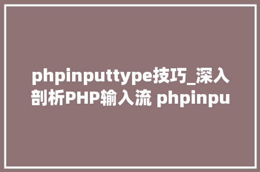 phpinputtype技巧_深入剖析PHP输入流 phpinput