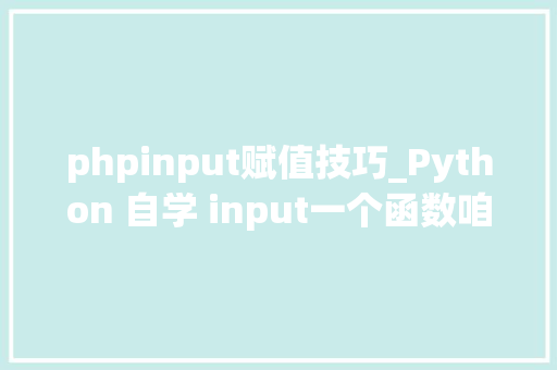 phpinput赋值技巧_Python 自学 input一个函数咱们也要负责进修
