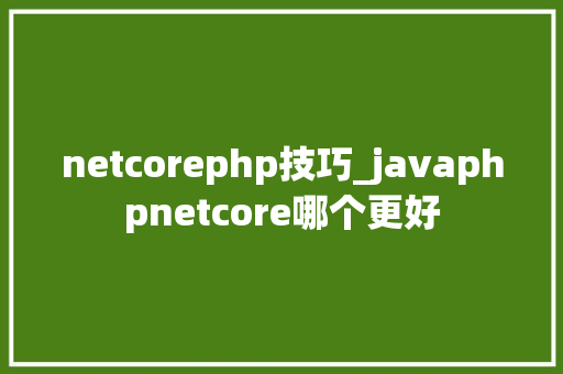 netcorephp技巧_javaphpnetcore哪个更好