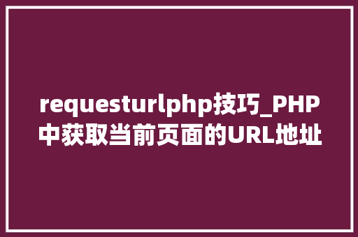 requesturlphp技巧_PHP中获取当前页面的URL地址的方法