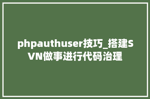 phpauthuser技巧_搭建SVN做事进行代码治理