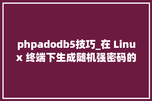phpadodb5技巧_在 Linux 终端下生成随机强密码的五种方法