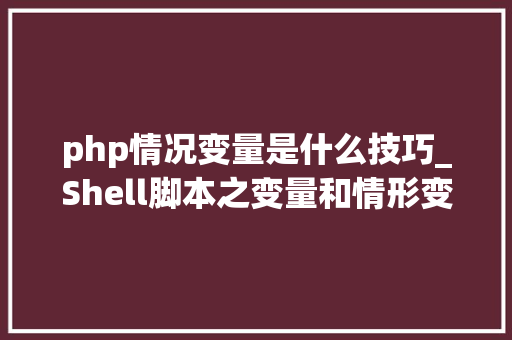 php情况变量是什么技巧_Shell脚本之变量和情形变量
