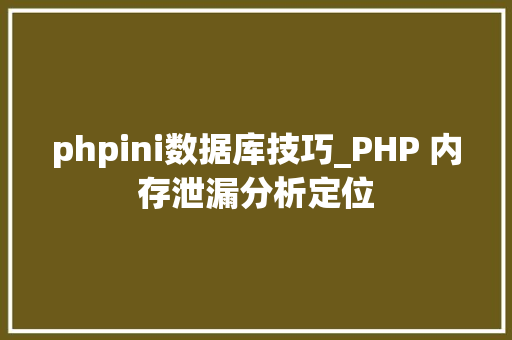 phpini数据库技巧_PHP 内存泄漏分析定位