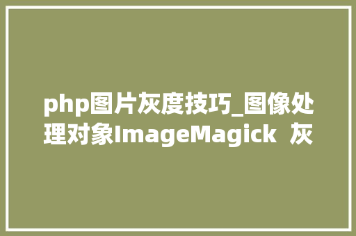 php图片灰度技巧_图像处理对象ImageMagick  灰度化和二值化