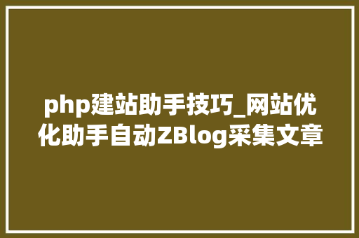 php建站助手技巧_网站优化助手自动ZBlog采集文章对象