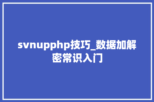 svnupphp技巧_数据加解密常识入门
