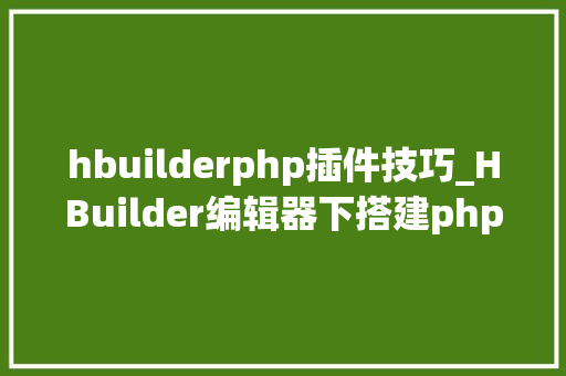 hbuilderphp插件技巧_HBuilder编辑器下搭建php情形
