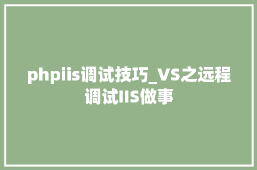 phpiis调试技巧_VS之远程调试IIS做事