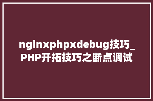 nginxphpxdebug技巧_PHP开拓技巧之断点调试