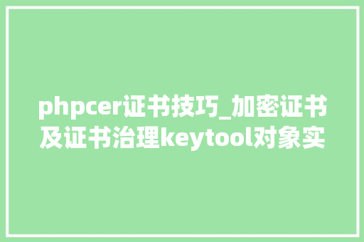 phpcer证书技巧_加密证书及证书治理keytool对象实例
