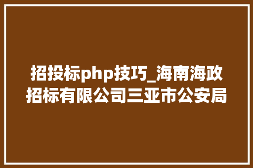 招投标php技巧_海南海政招标有限公司三亚市公安局信息系统安然等级保护测评做事招标通知书记
