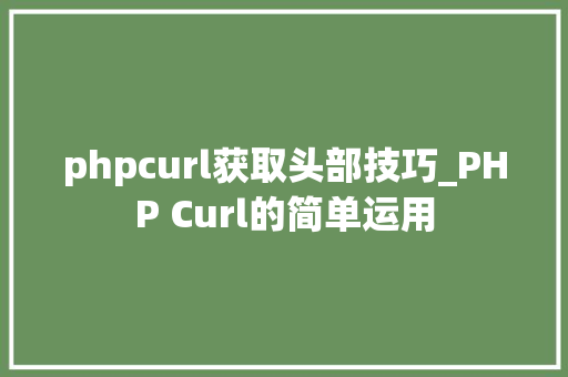 phpcurl获取头部技巧_PHP Curl的简单运用