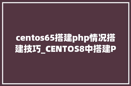 centos65搭建php情况搭建技巧_CENTOS8中搭建PHP情形