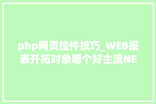 php网页控件技巧_WEB报表开拓对象哪个好主流NET报表控件比拟测评