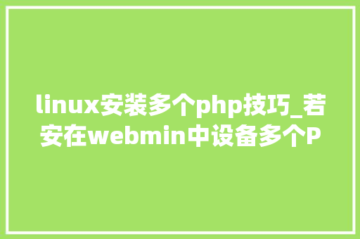 linux安装多个php技巧_若安在webmin中设备多个PHP版本