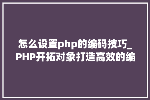 怎么设置php的编码技巧_PHP开拓对象打造高效的编码体验