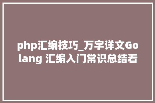 php汇编技巧_万字详文Golang 汇编入门常识总结看这一篇就够了