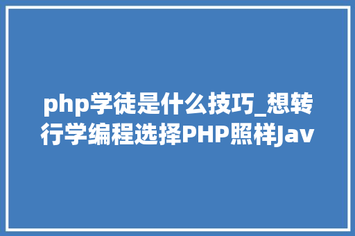 php学徒是什么技巧_想转行学编程选择PHP照样Java