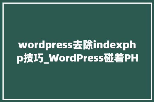 wordpress去除indexphp技巧_WordPress碰着PHP致命缺点的解决办法Call to undefined function