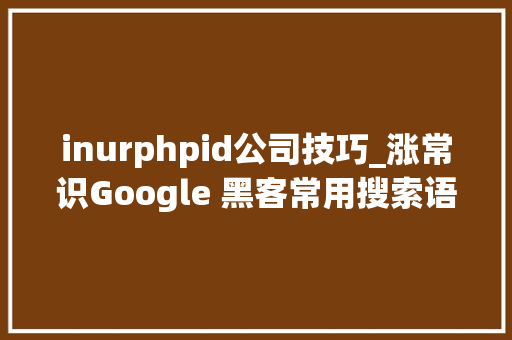inurphpid公司技巧_涨常识Google 黑客常用搜索语句一览  原力计划