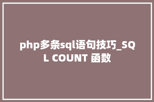 php多条sql语句技巧_SQL COUNT 函数