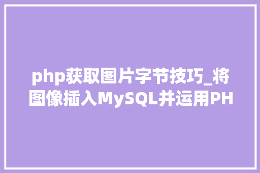 php获取图片字节技巧_将图像插入MySQL并运用PHP检索图像