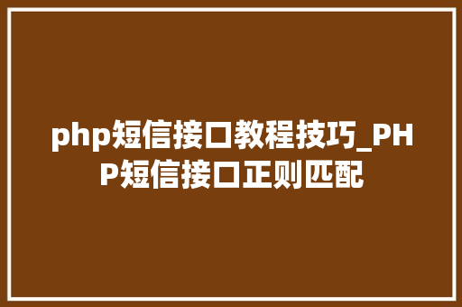php短信接口教程技巧_PHP短信接口正则匹配
