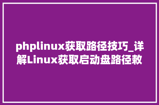 phplinux获取路径技巧_详解Linux获取启动盘路径敕令fdisksfdisk llsblk
