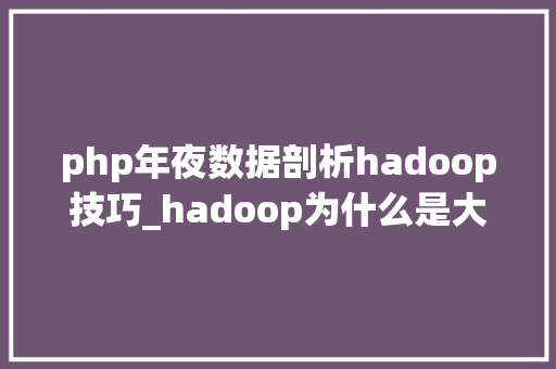 php年夜数据剖析hadoop技巧_hadoop为什么是大年夜数据进修的核心技能