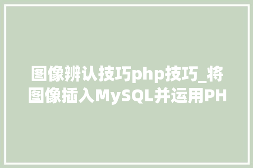 图像辨认技巧php技巧_将图像插入MySQL并运用PHP检索图像