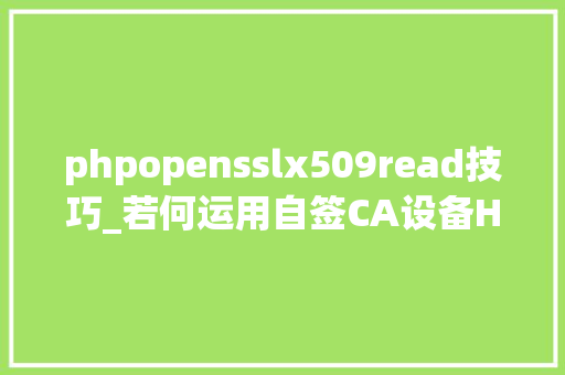 phpopensslx509read技巧_若何运用自签CA设备HTTPS加密反向代理看了这篇我会了