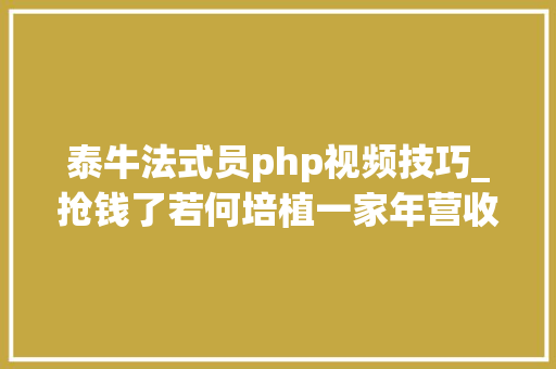 泰牛法式员php视频技巧_抢钱了若何培植一家年营收1000万的IT培训机构