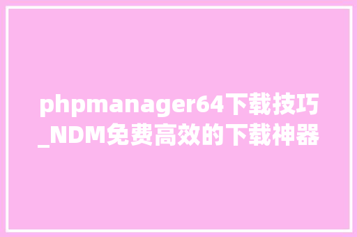 phpmanager64下载技巧_NDM免费高效的下载神器
