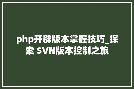 php开辟版本掌握技巧_探索 SVN版本控制之旅