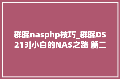 群晖nasphp技巧_群晖DS213j小白的NAS之路 篇二网页和本机片子播放磁盘阵列SHR转BASIC